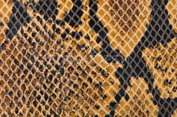 Snake Skin Leather Texture  Stock photo © homydesign