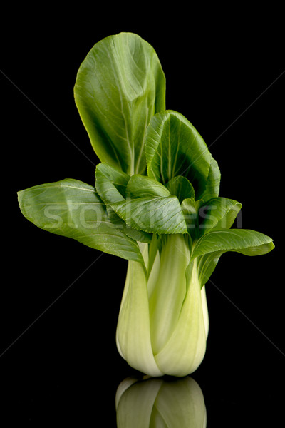 Nero verde insalata impianto verdura asian Foto d'archivio © homydesign
