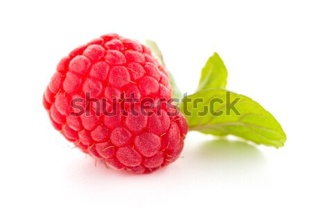 Raspberry fruit isolated Stock photo © homydesign