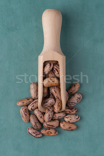 木 舀 豆類 頂部 視圖 藍色 商業照片 © homydesign