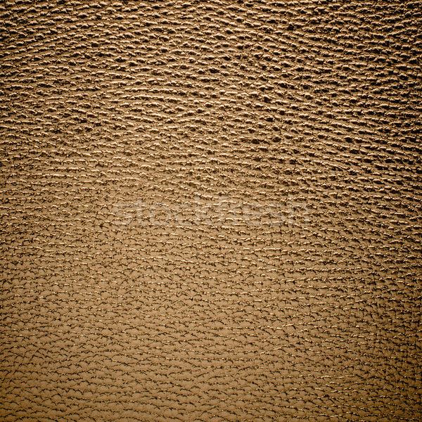 Golden color leather Stock photo © homydesign