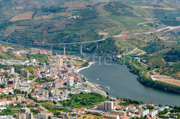 Regua, vineyars in Douro Valley Stock photo © homydesign