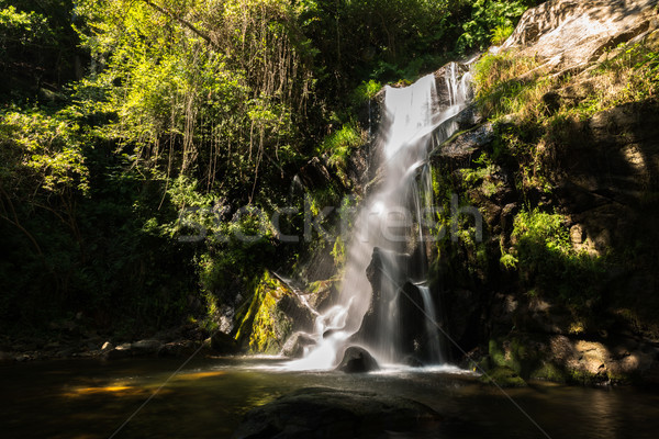 Schönen Wasserfall Portugal Langzeitbelichtung Wasser Frühling Stock foto © homydesign