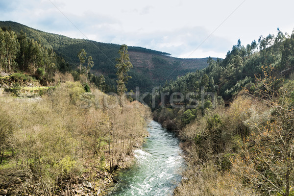 Paiva river Stock photo © homydesign