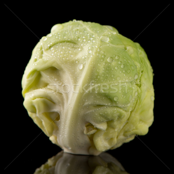 Fresh brussels sprouts Stock photo © homydesign