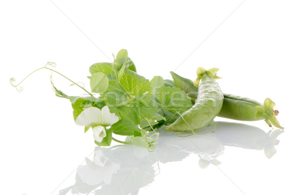 Friss zöld hüvely fehér étel tájkép Stock fotó © homydesign
