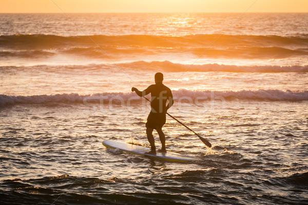 Stand up paddler silhouette at sunset Stock photo © homydesign