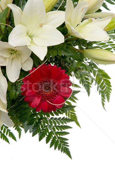 Foto stock: Pormenor · buquê · flores · branco · natureza · verão