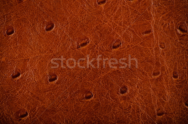 Natural brown leather Stock photo © homydesign