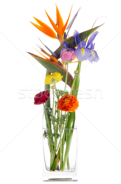 Bouquet of various flowers Stock photo © homydesign