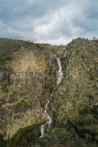 Wasserfall richtig Bank Fluss Strand Holz Stock foto © homydesign