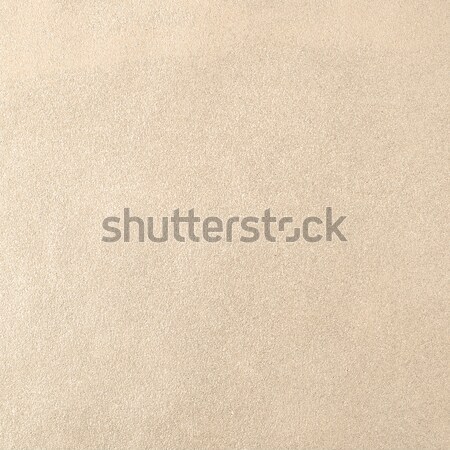 Beije leather Stock photo © homydesign