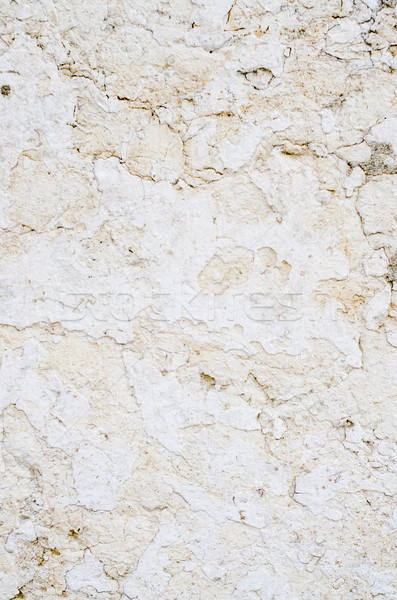 Limestone Stock photo © homydesign