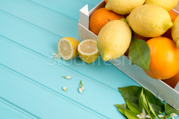 Citrus fresh fruits Stock photo © homydesign