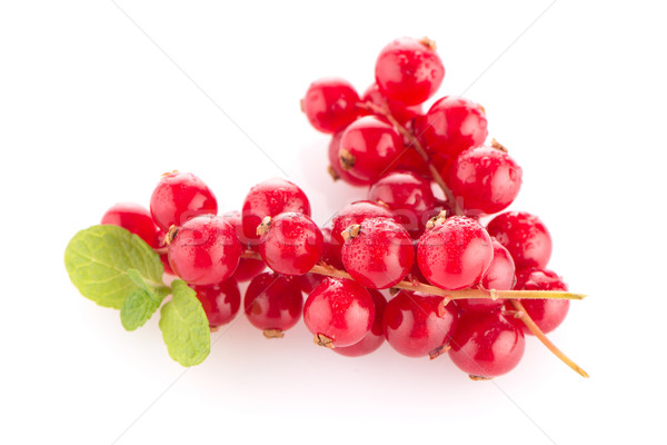 Red Currants Stock photo © homydesign