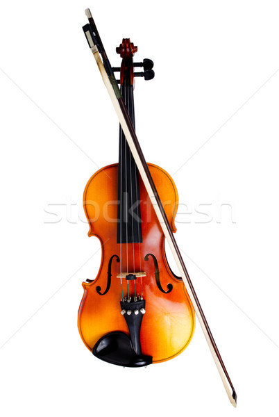 Violin Stock photo © homydesign