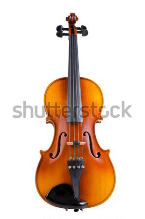 Violin Stock photo © homydesign