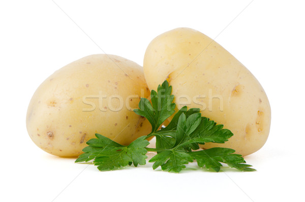 новых картофель зеленый петрушка изолированный белый Сток-фото © homydesign