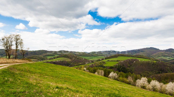 Munte primăvară peisaj colorat pădure natural Imagine de stoc © hraska