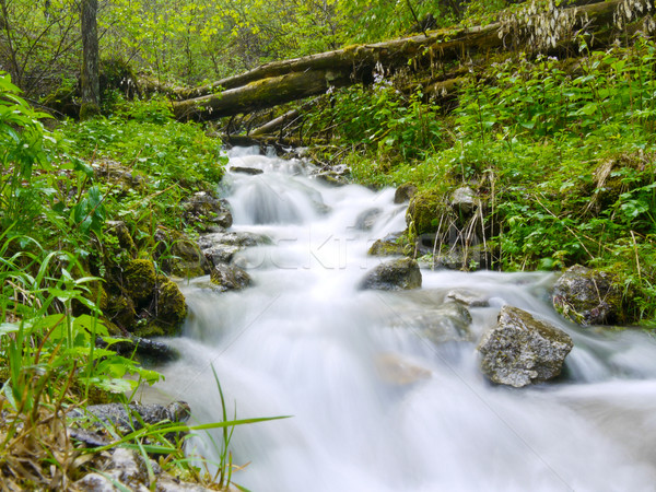Stopped waterfall Stock photo © hraska
