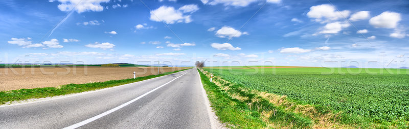 Road panorama, spring Stock photo © hraska