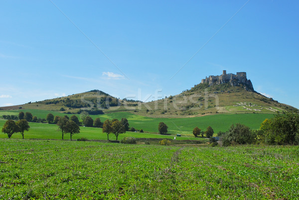 Wahrzeichen Burg Ruinen Natur grünen Reise Stock foto © hraska