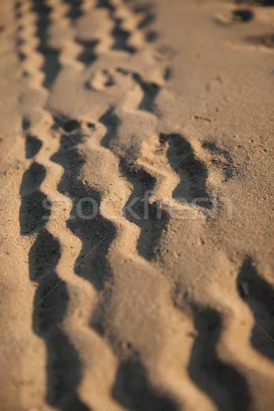 Wheel tracks on the sand Stock photo © hraska
