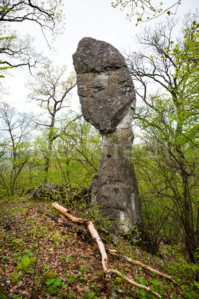 Kaya kule ilginç taş oluşum form Stok fotoğraf © hraska