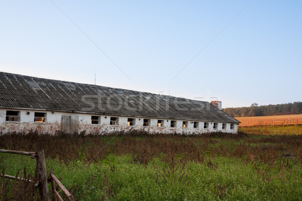 Abandoned cowshed Stock photo © hraska