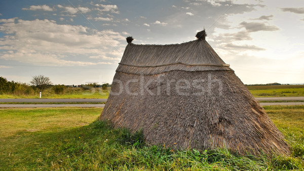 Neolithic prairie settlement  Stock photo © hraska