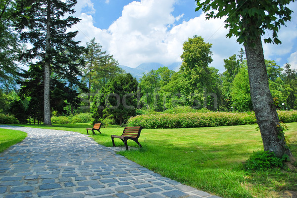 alley with benches in park Stock photo © hraska