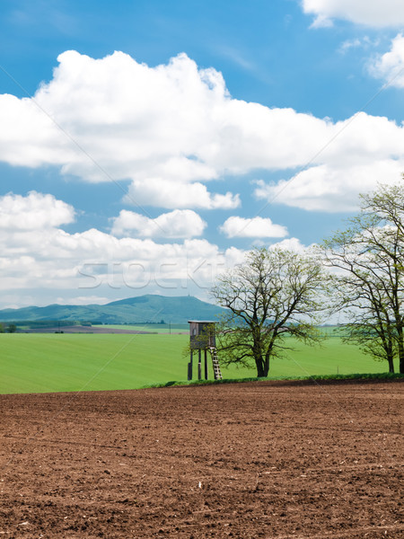 Spring on the farmed land  Stock photo © hraska