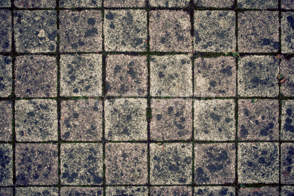 Terras bakstenen vuile gekleurd steen Stockfoto © hraska