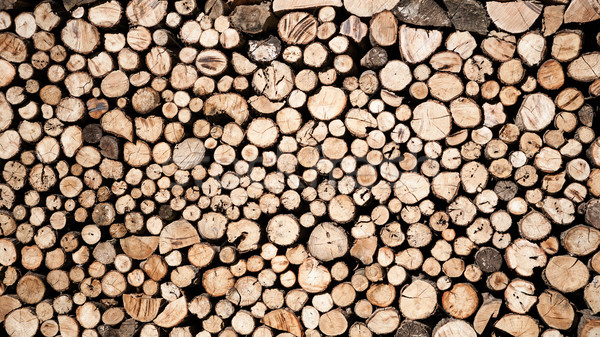 Tree stumps background Stock photo © hraska