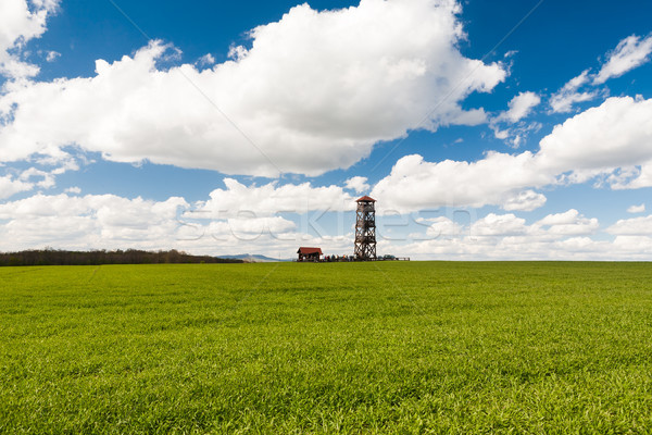 Wooden watchtower in the fields Stock photo © hraska