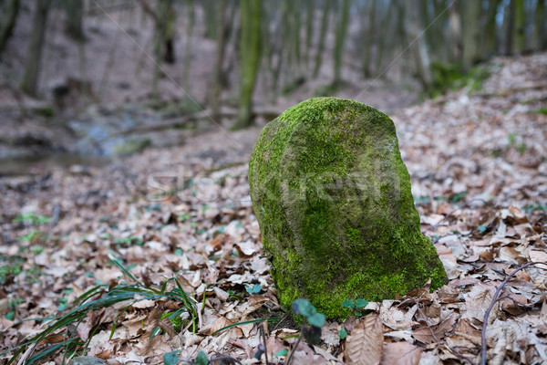 Vechi piatră muschi adanc pădure Imagine de stoc © hraska