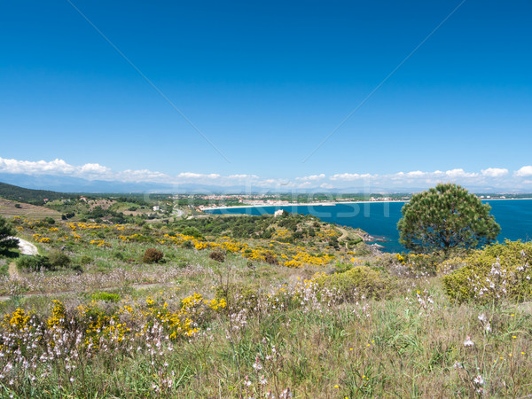 Foto d'archivio: Mediterraneo · panorama · view · costa · mare