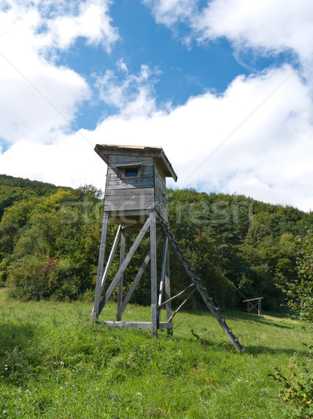 Polowanie wieża lasu polana niebo drewna Zdjęcia stock © hraska