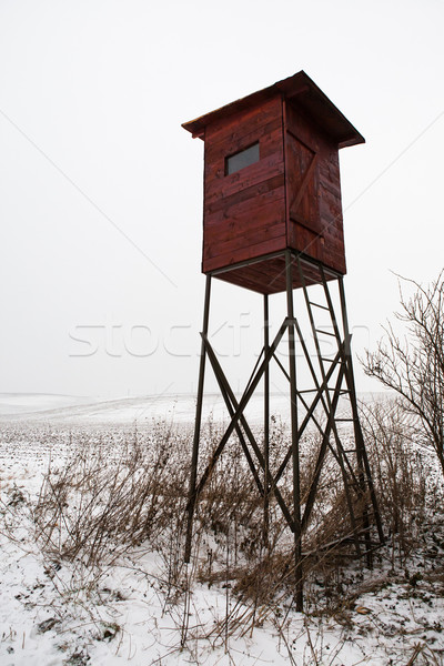 Сток-фото: охота · башни · зима · стране · новых · современных