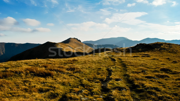 Autumn mountain range Stock photo © hraska
