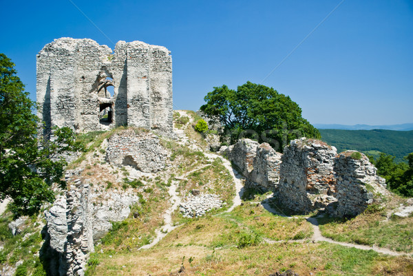 In the ruins Stock photo © hraska