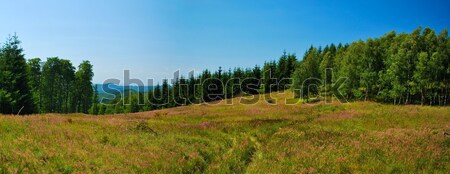 Stitched Panorama of mountains meadow Stock photo © hraska