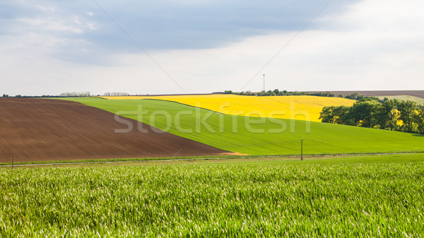 View of colorful fields Stock photo © hraska