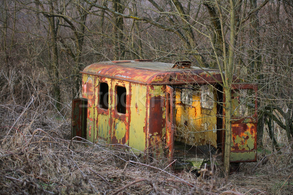 Vechi lung abandonat uitat pădure casă Imagine de stoc © hraska
