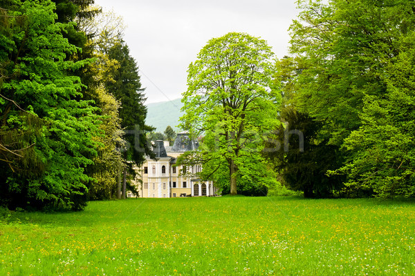 Herrenhaus Park Ansicht Wald Blume Stock foto © hraska