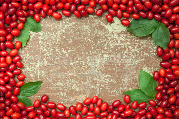 Dogwood berries on wooden background Stock photo © hraska