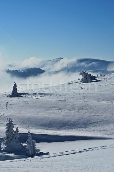 山 山 風景 雪 氷 ストックフォト © hraska