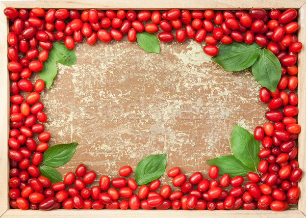 Cornelian cherries in wooden frame Stock photo © hraska