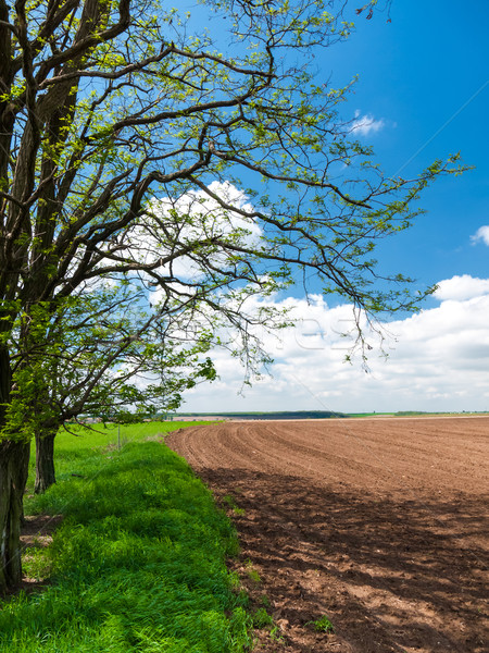 Dziedzinie granica wiosną wiejski widoku Zdjęcia stock © hraska