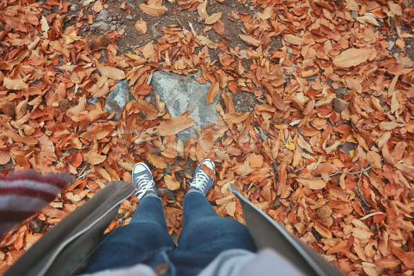 Woman standing in dry autumn leaves Stock photo © hsfelix